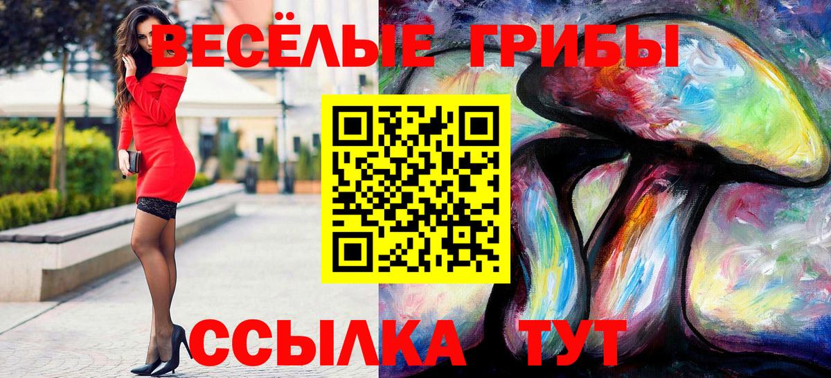 Галлюциногенные грибы мицелий Дагестанские Огни